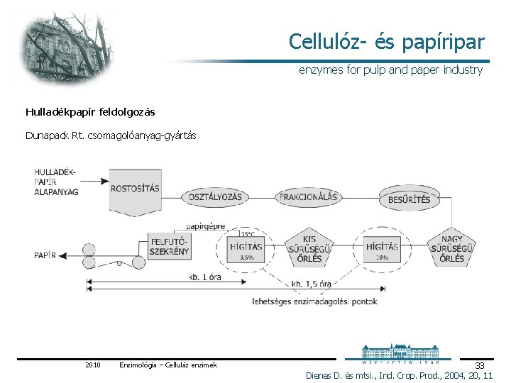 Cellulóz és papíripar enzymes for pulp and paper industry Hulladékpapír feldolgozás Dunapack Rt. csomagolóanyag
