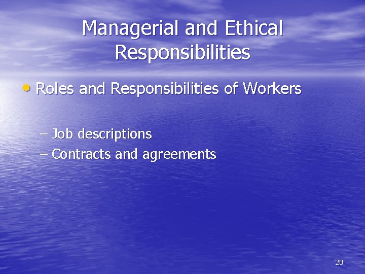 Managerial and Ethical Responsibilities • Roles and Responsibilities of Workers – Job descriptions –