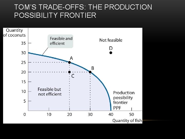 TOM’S TRADE-OFFS: THE PRODUCTION POSSIBILITY FRONTIER 