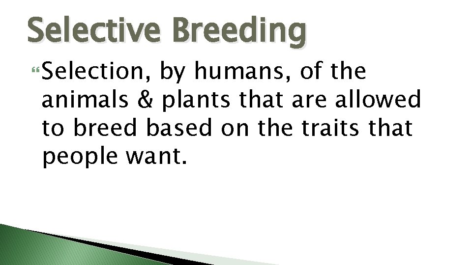 Selective Breeding Selection, by humans, of the animals & plants that are allowed to