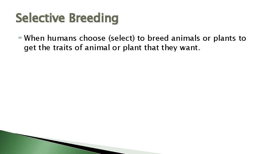 Selective Breeding When humans choose (select) to breed animals or plants to get the