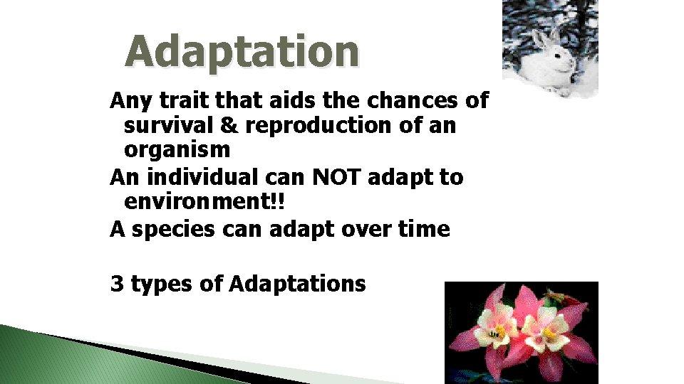 Adaptation Any trait that aids the chances of survival & reproduction of an organism