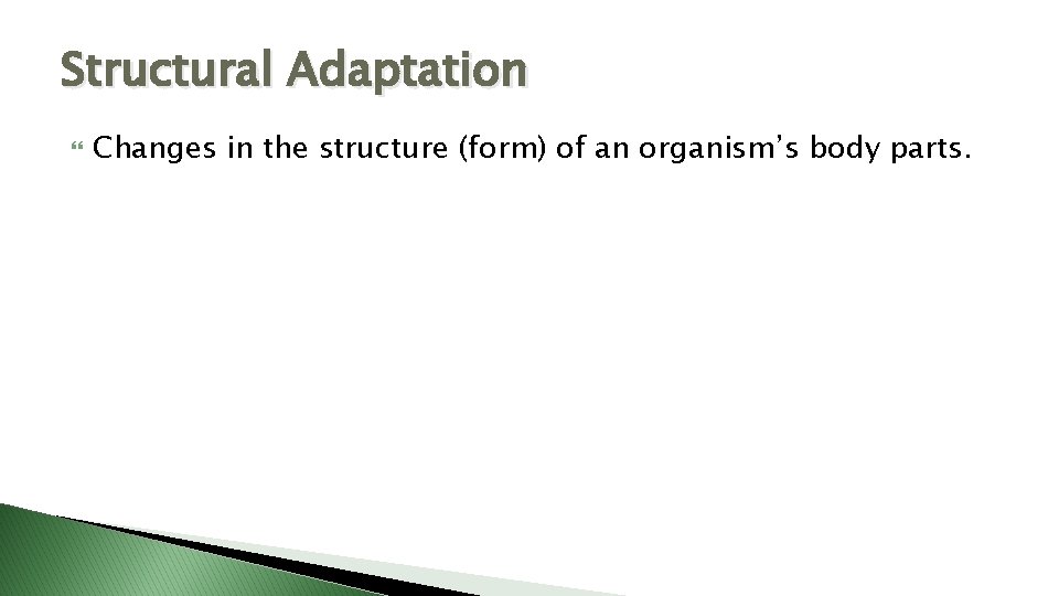 Structural Adaptation Changes in the structure (form) of an organism’s body parts. 