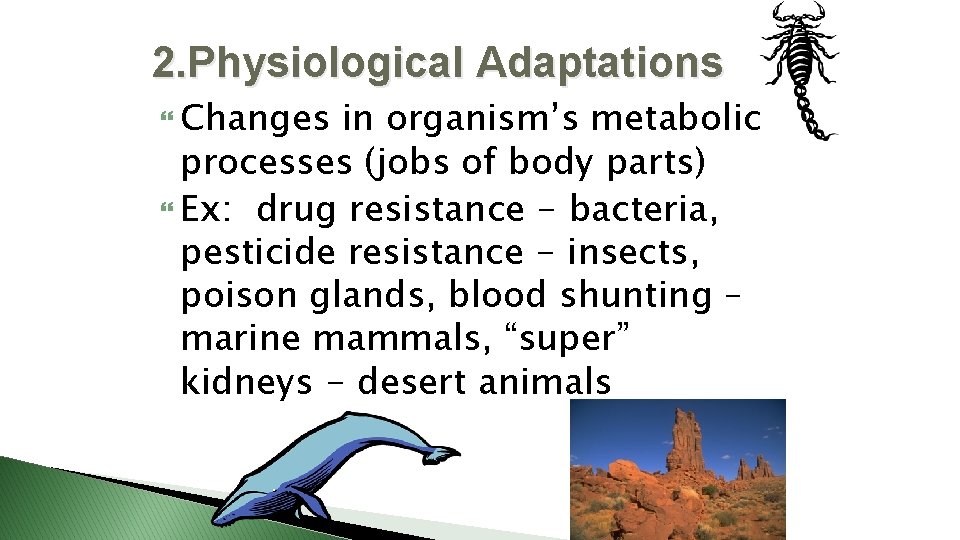 2. Physiological Adaptations Changes in organism’s metabolic processes (jobs of body parts) Ex: drug