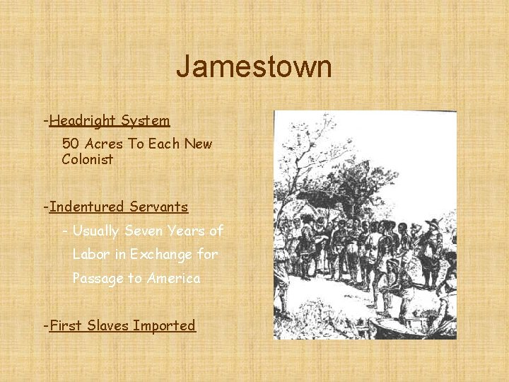 Jamestown -Headright System 50 Acres To Each New Colonist -Indentured Servants - Usually Seven