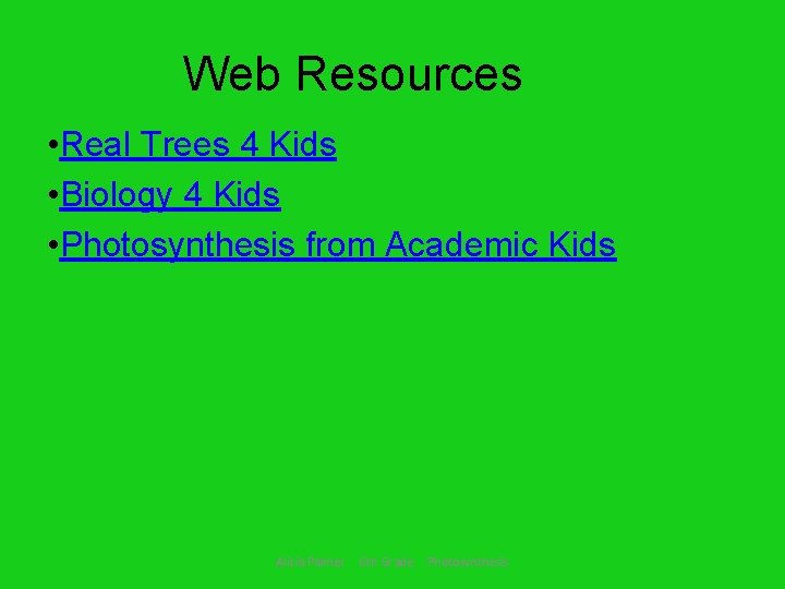 Web Resources • Real Trees 4 Kids • Biology 4 Kids • Photosynthesis from