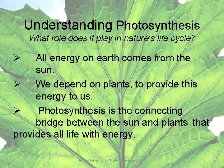 Understanding Photosynthesis What role does it play in nature’s life cycle? Ø All energy