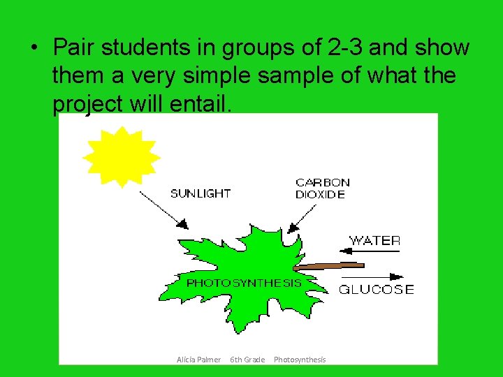  • Pair students in groups of 2 -3 and show them a very