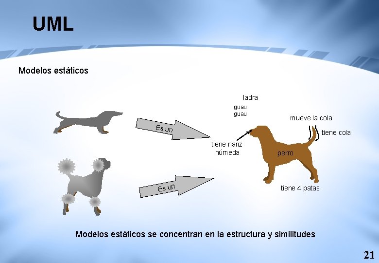 UML Modelos estáticos ladra guau mueve la cola Es un tiene cola tiene nariz