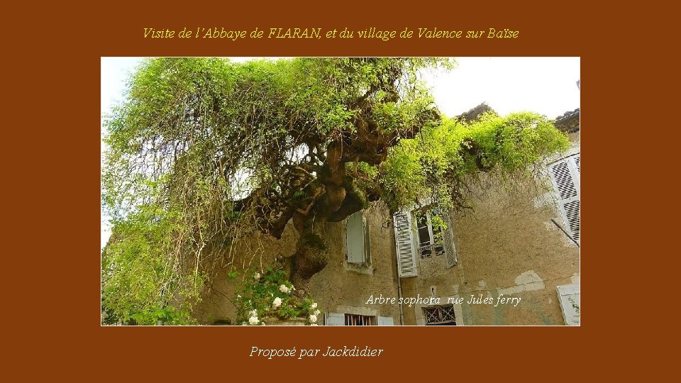 Visite de l’Abbaye de FLARAN, et du village de Valence sur Baïse Arbre sophora