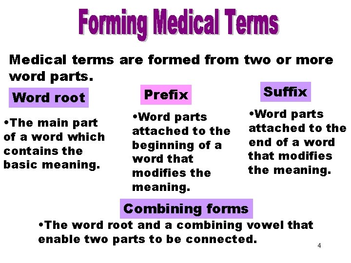 Forming Medical Terms Part 2 Medical terms are formed from two or more word