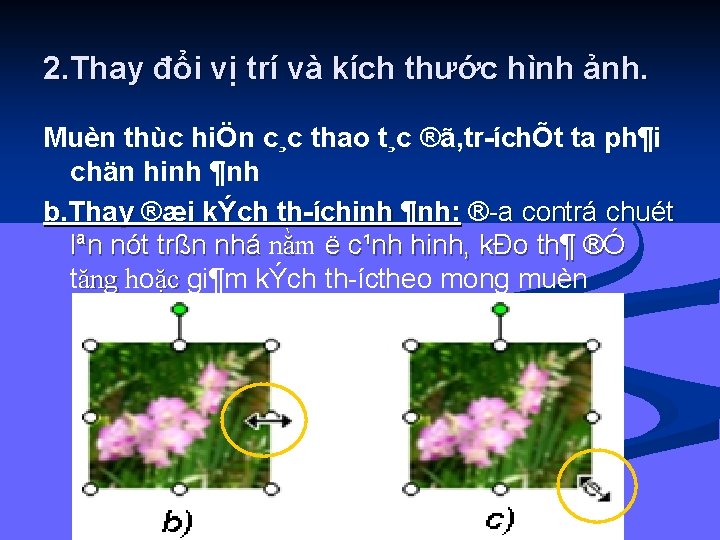 2. Thay đổi vị trí và kích thước hình ảnh. Muèn thùc hiÖn c¸c