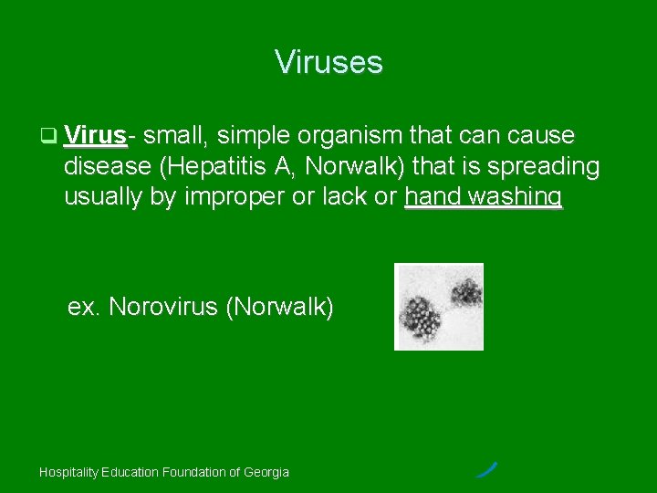 Viruses Virus- small, simple organism that can cause disease (Hepatitis A, Norwalk) that is