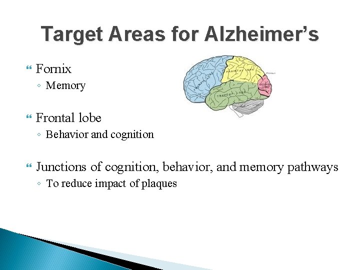 Target Areas for Alzheimer’s Fornix ◦ Memory Frontal lobe ◦ Behavior and cognition Junctions