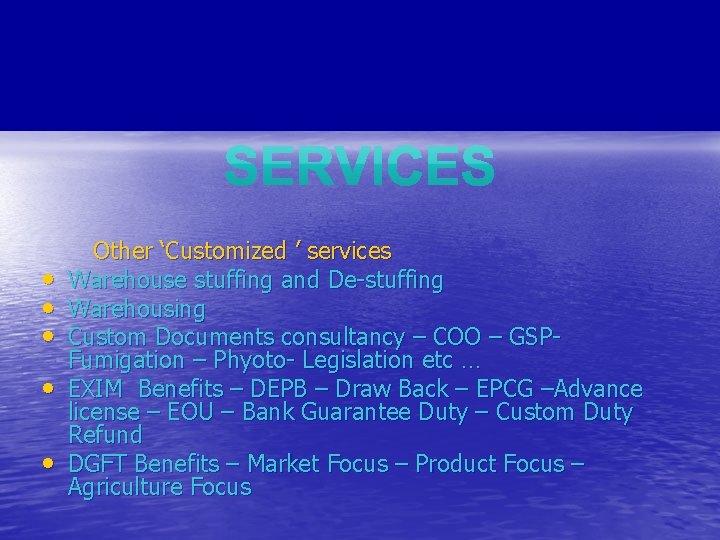  • • • Other ‘Customized ’ services Warehouse stuffing and De-stuffing Warehousing Custom