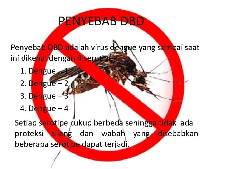 PENYEBAB DBD Penyebab DBD adalah virus dengue yang sampai saat ini dikenal dengan 4