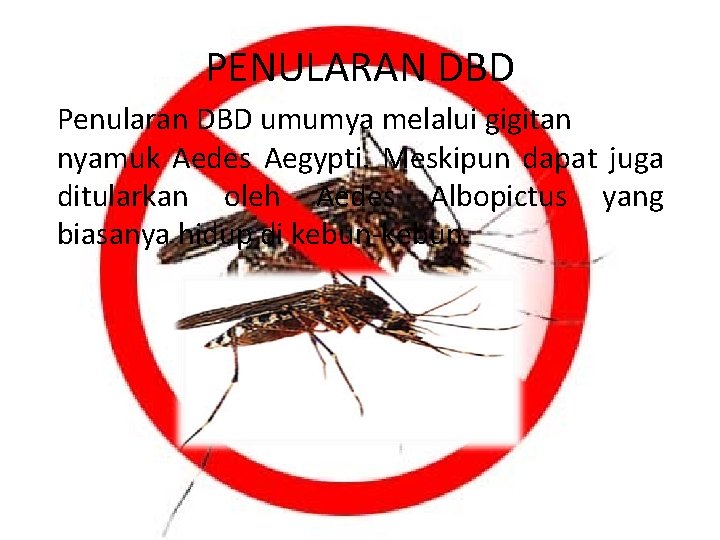 PENULARAN DBD Penularan DBD umumya melalui gigitan nyamuk Aedes Aegypti. Meskipun dapat juga ditularkan