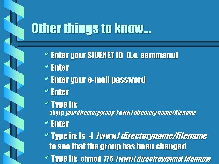 Other things to know. . . b. Enter your SIUENET ID (i. e. aemmanu)