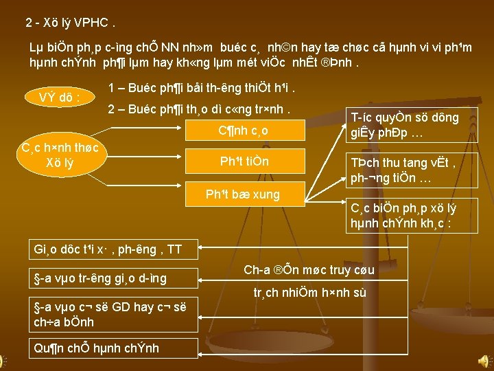 2 Xö lý VPHC. Lµ biÖn ph¸p c ìng chÕ NN nh» m buéc