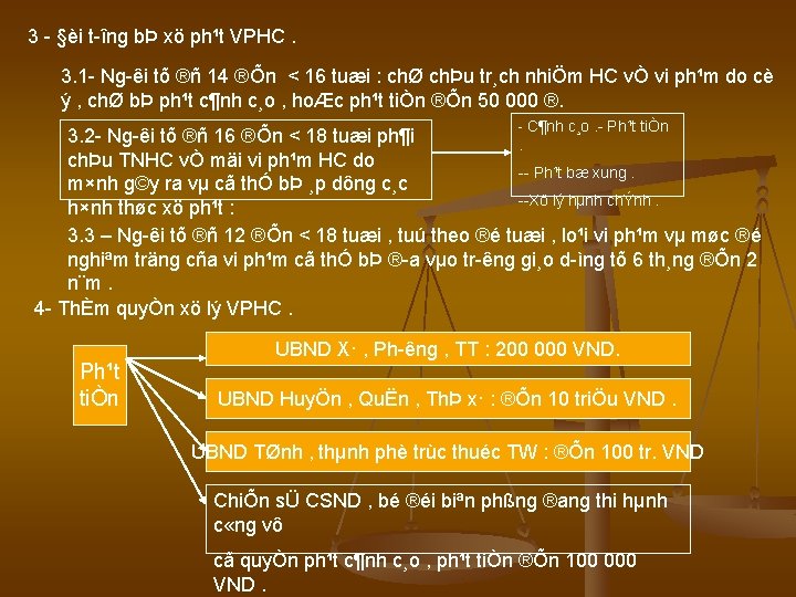 3 §èi t îng bÞ xö ph¹t VPHC. 3. 1 Ng êi tõ ®ñ