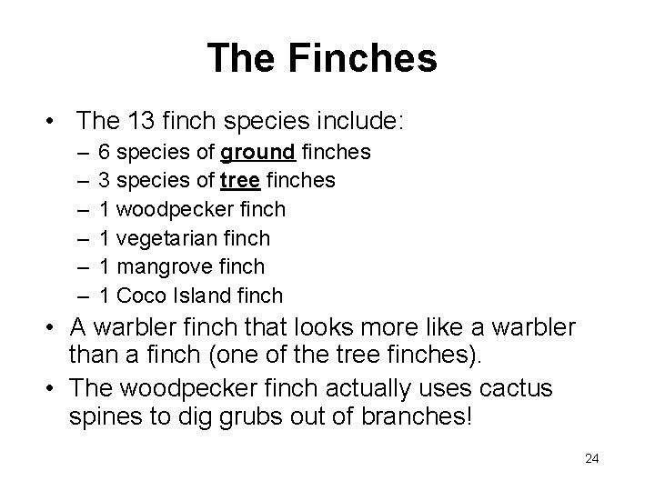 The Finches • The 13 finch species include: – – – 6 species of