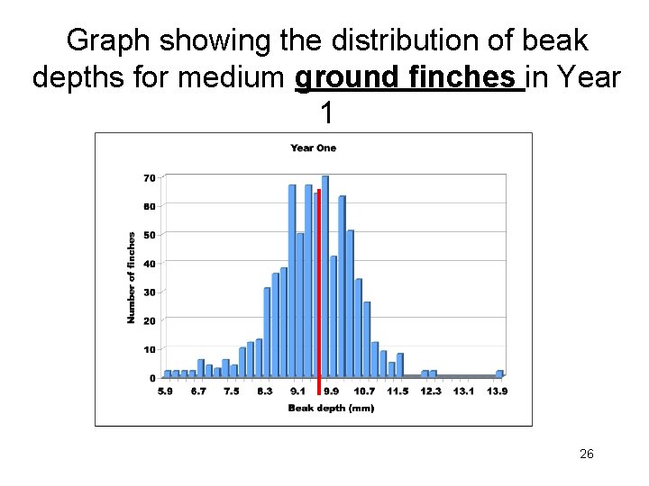 Graph showing the distribution of beak depths for medium ground finches in Year 1