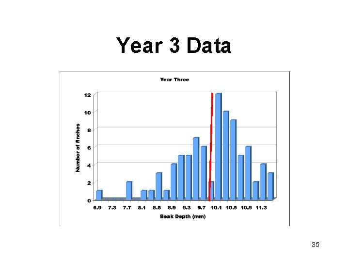 Year 3 Data 35 