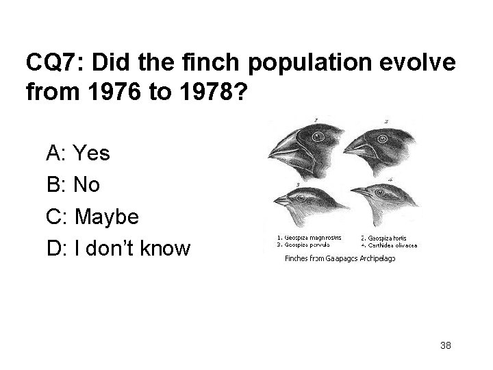CQ 7: Did the finch population evolve from 1976 to 1978? A: Yes B: