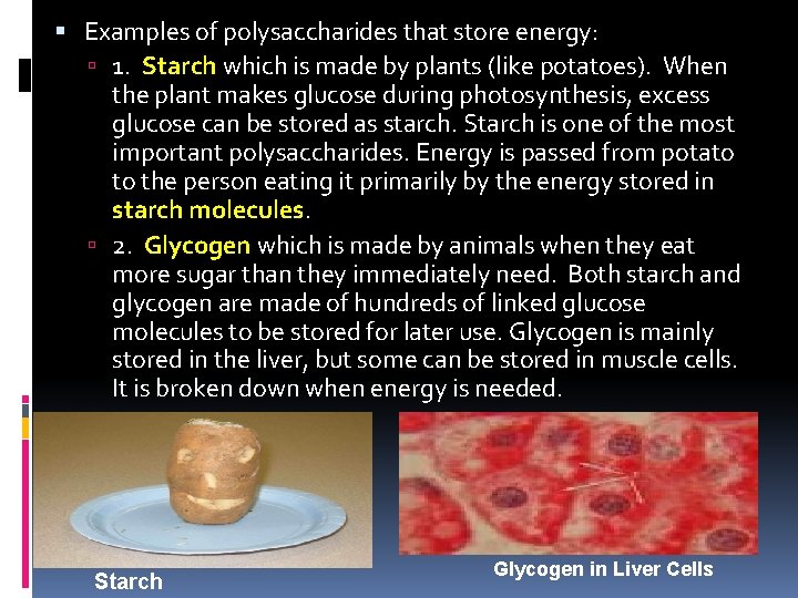  Examples of polysaccharides that store energy: 1. Starch which is made by plants
