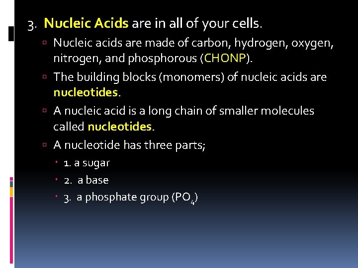 3. Nucleic Acids are in all of your cells. Nucleic acids are made of