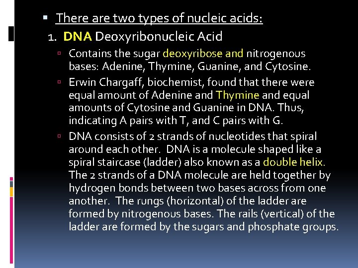  There are two types of nucleic acids: 1. DNA Deoxyribonucleic Acid Contains the