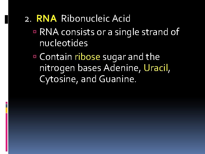2. RNA Ribonucleic Acid RNA consists or a single strand of nucleotides Contain ribose