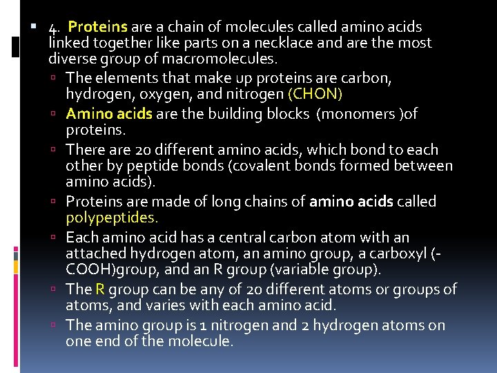  4. Proteins are a chain of molecules called amino acids linked together like