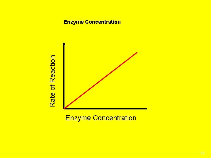 Rate of Reaction Enzyme Concentration 65 