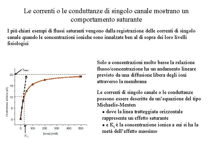 Le correnti o le conduttanze di singolo canale mostrano un comportamento saturante I più