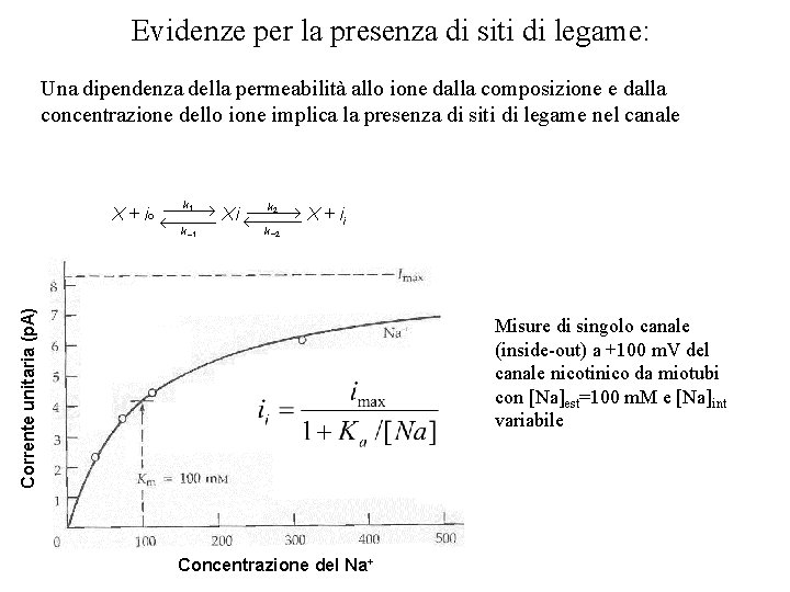 Evidenze per la presenza di siti di legame: Una dipendenza della permeabilità allo ione