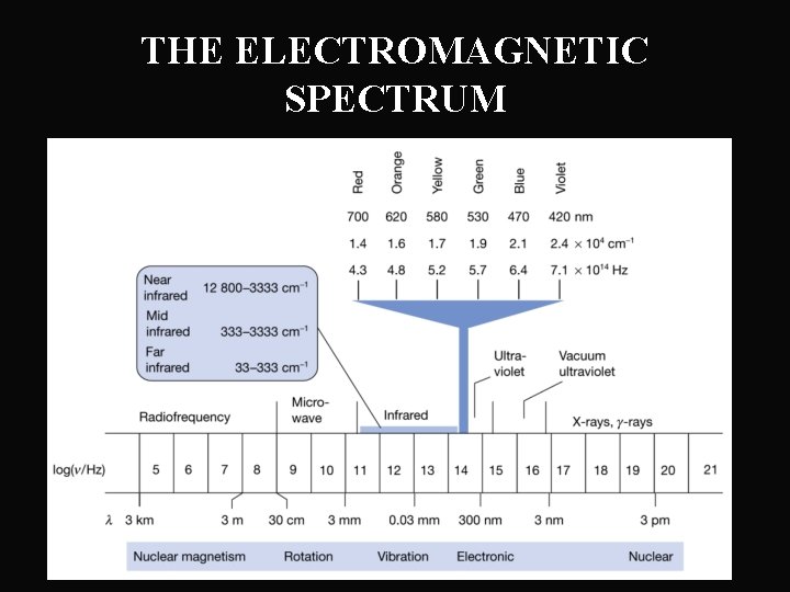 THE ELECTROMAGNETIC SPECTRUM 