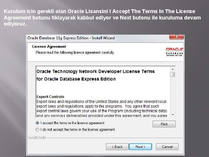 Kurulum icin gerekli olan Oracle Lisansini I Accept The Terms In The License Agreement