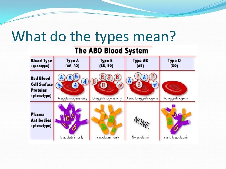 What do the types mean? What do the types mean?