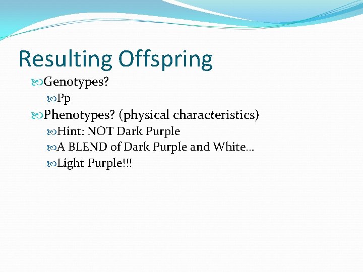 Resulting Offspring Genotypes? Pp Phenotypes? (physical characteristics) Hint: NOT Dark Purple A BLEND of Resulting Offspring Genotypes? Pp Phenotypes? (physical characteristics) Hint: NOT Dark Purple A BLEND of