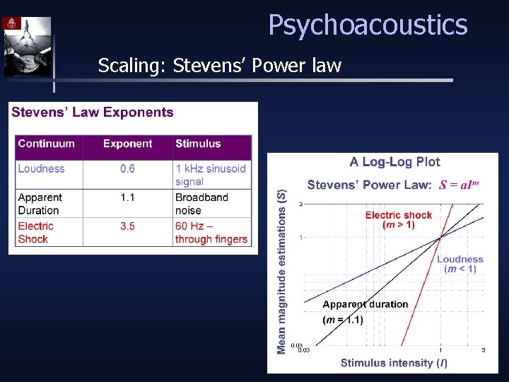 Psychoacoustics Scaling: Stevens’ Power law 
