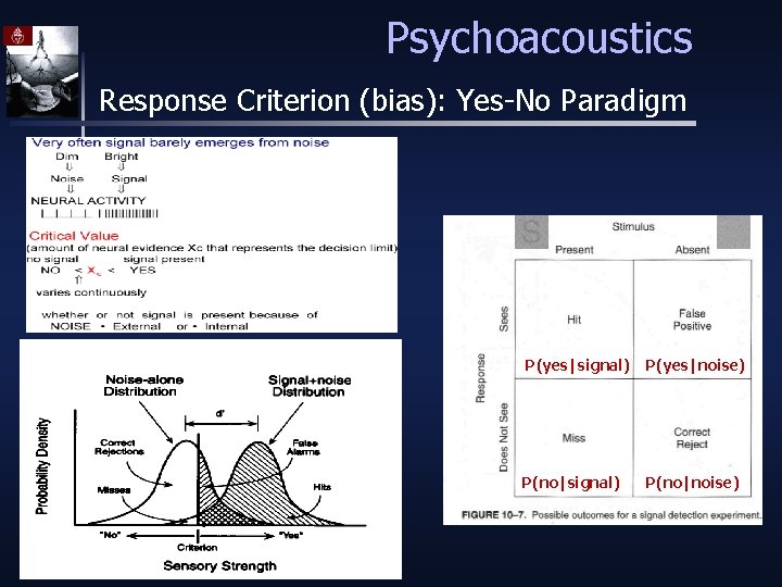 Psychoacoustics Response Criterion (bias): Yes-No Paradigm P(yes|signal) P(yes|noise) P(no|signal) P(no|noise) 