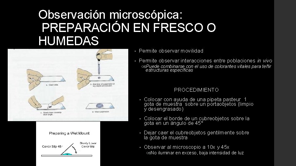 Observación microscópica: PREPARACIÓN EN FRESCO O HUMEDAS • Permite observar movilidad • Permite observar