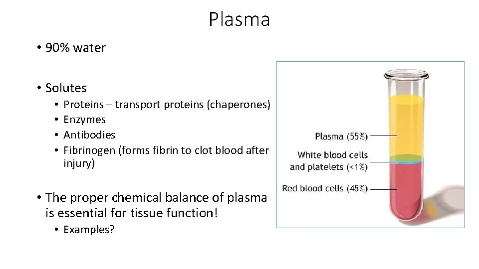 Plasma • 90% water • Solutes • • Proteins – transport proteins (chaperones) Enzymes