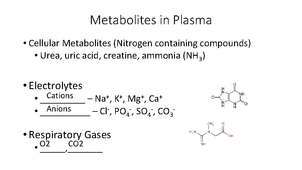 Metabolites in Plasma • Cellular Metabolites (Nitrogen containing compounds) • Urea, uric acid, creatine,