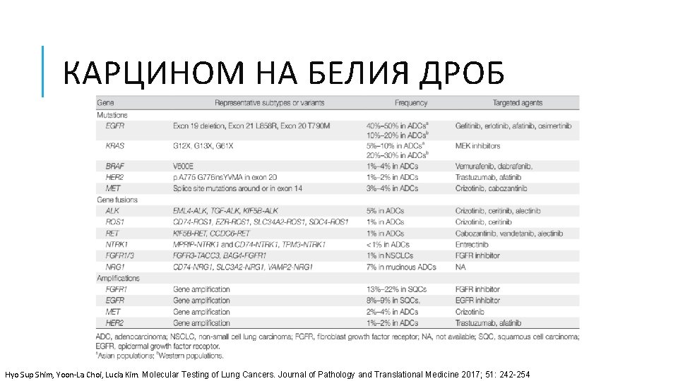 КАРЦИНОМ НА БЕЛИЯ ДРОБ Hyo Sup Shim, Yoon-La Choi, Lucia Kim. Molecular Testing of