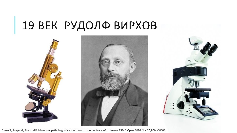 19 ВЕК РУДОЛФ ВИРХОВ Birner P, Prager G, Streubel B. Molecular pathology of cancer: