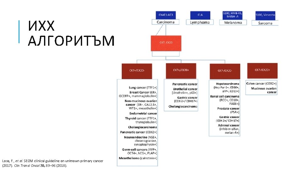 ИХХ АЛГОРИТЪМ Losa, F. , et al. SEOM clinical guideline on unknown primary cancer