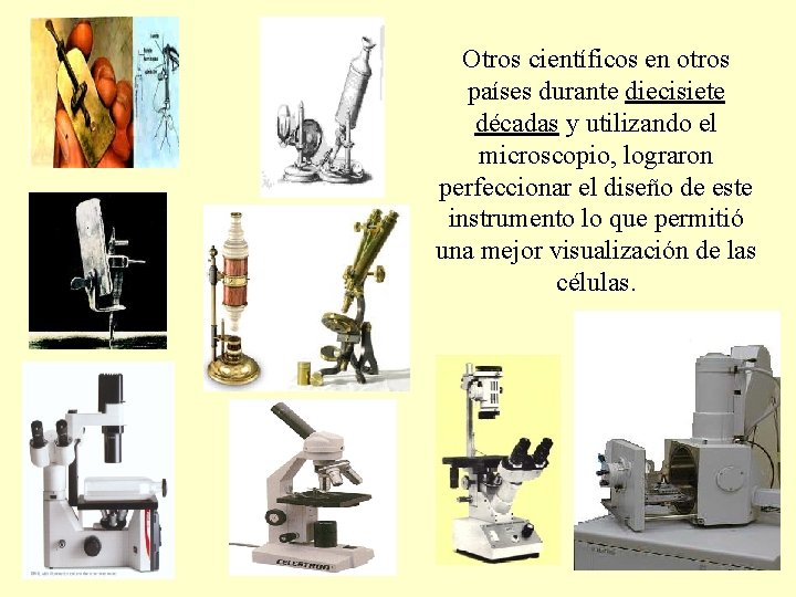 Otros científicos en otros países durante diecisiete décadas y utilizando el microscopio, lograron perfeccionar