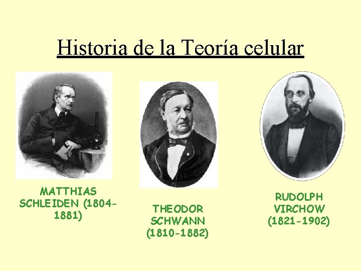 Historia de la Teoría celular MATTHIAS SCHLEIDEN (18041881) THEODOR SCHWANN (1810 -1882) RUDOLPH VIRCHOW